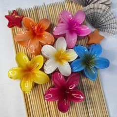 Pinteresty Hair Claw Clip