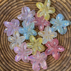 Glossy Hair Claw Clips