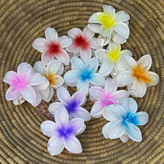 Flower Butterfly Shiny Claws