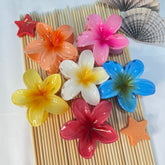 Pinteresty Hair Claw Clip