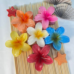 Pinteresty Hair Claw Clip