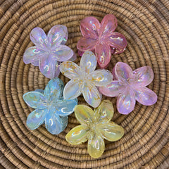 Glossy Hair Claw Clips