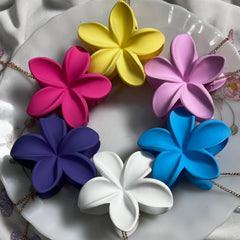 Solid Butterfly Hook Claw