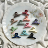 Mini Twisted Claw Clip