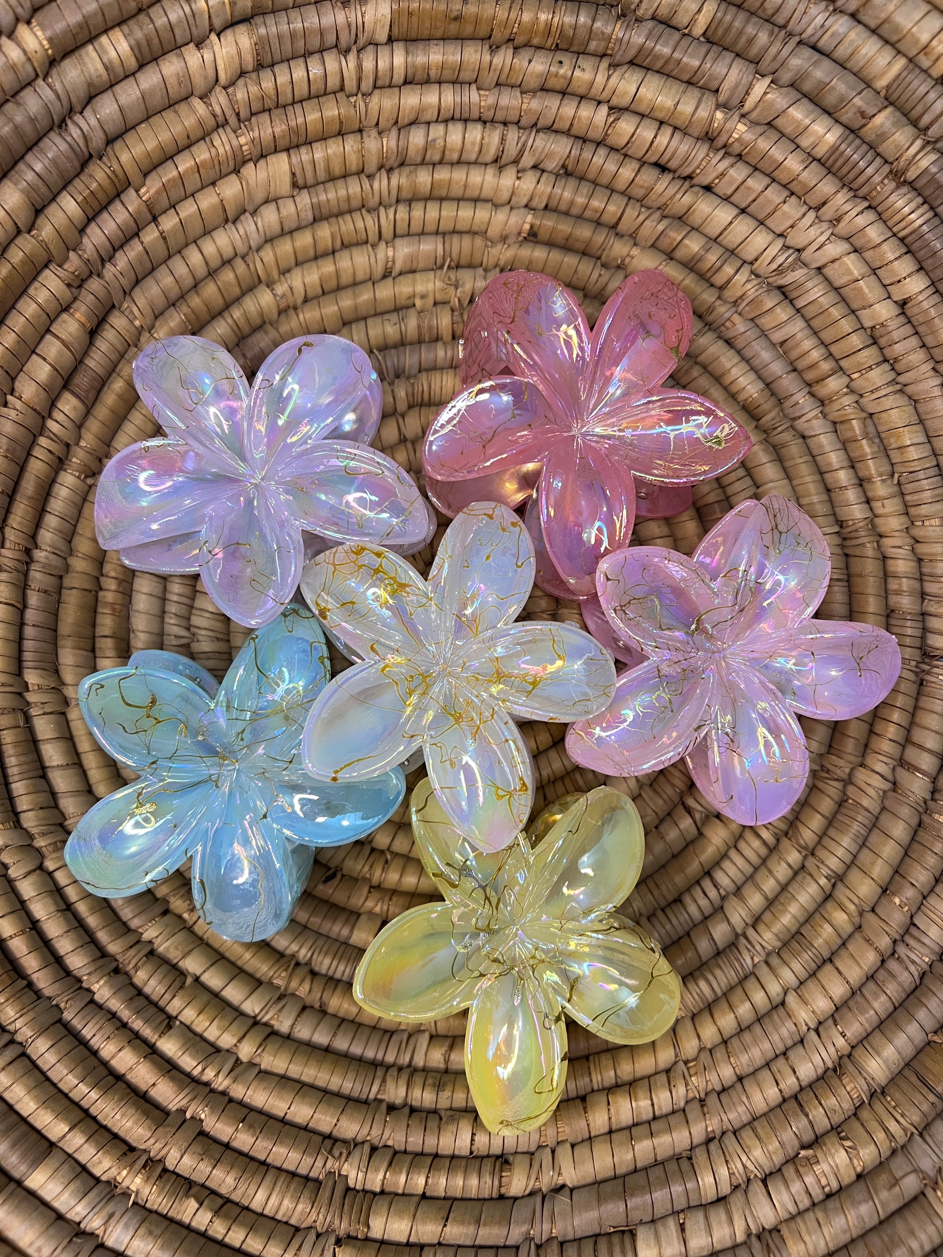 Glossy Hair Claw Clips