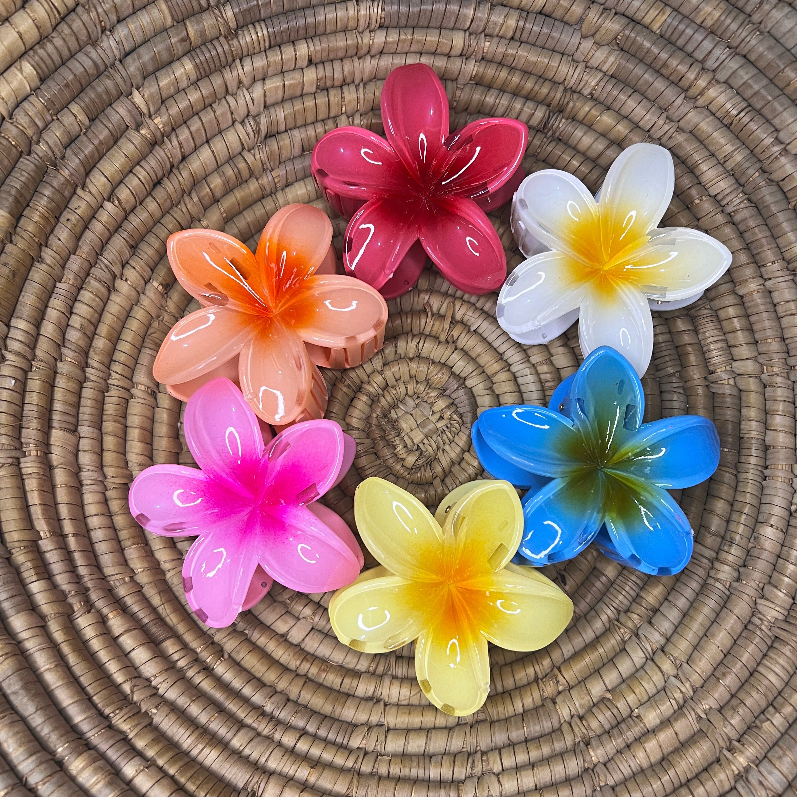 Pinteresty Hair Claw Clip