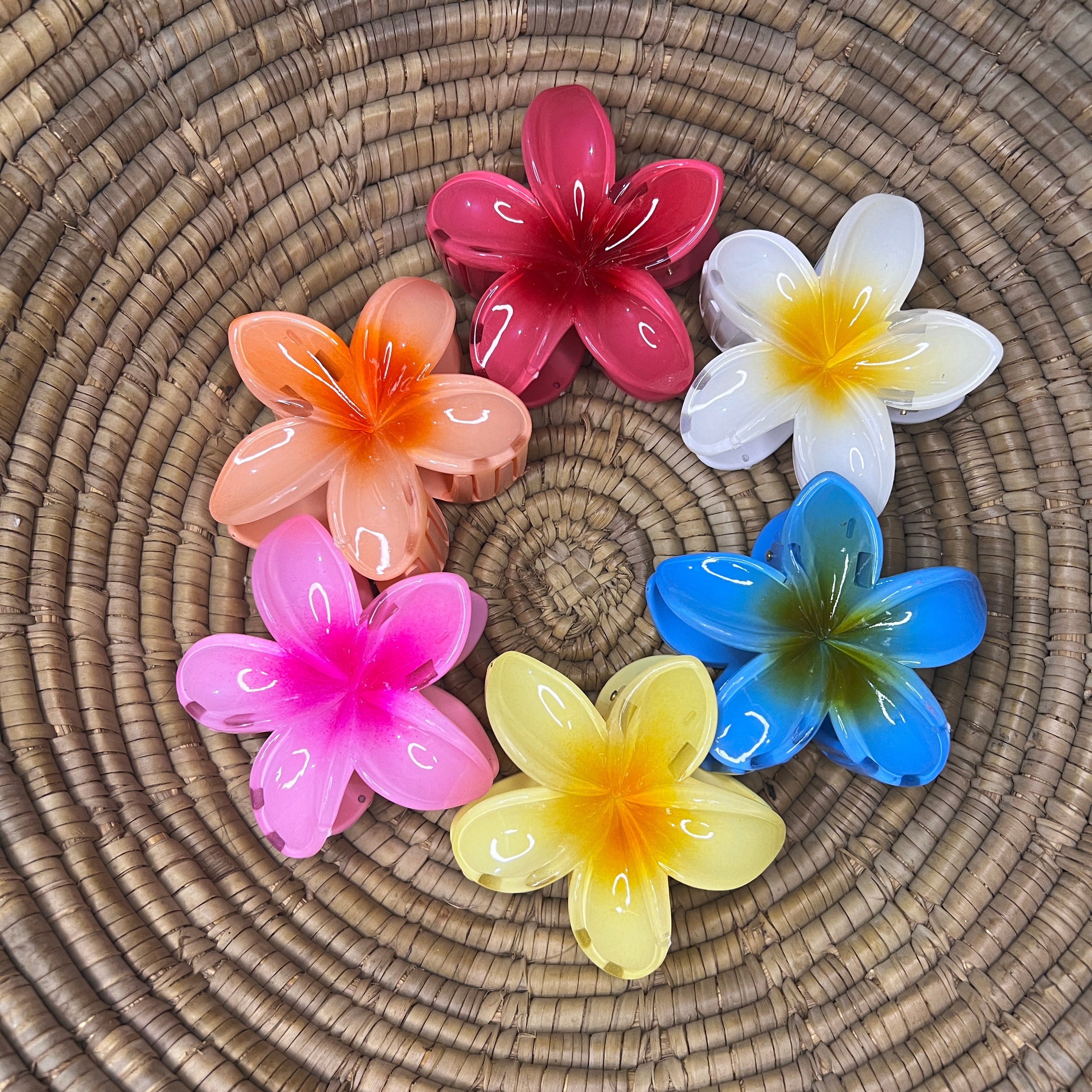 Pinteresty Hair Claw Clip