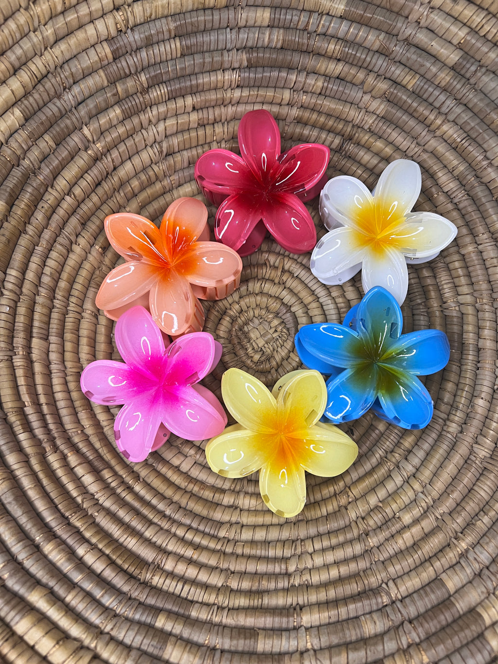 Pinteresty Hair Claw Clip