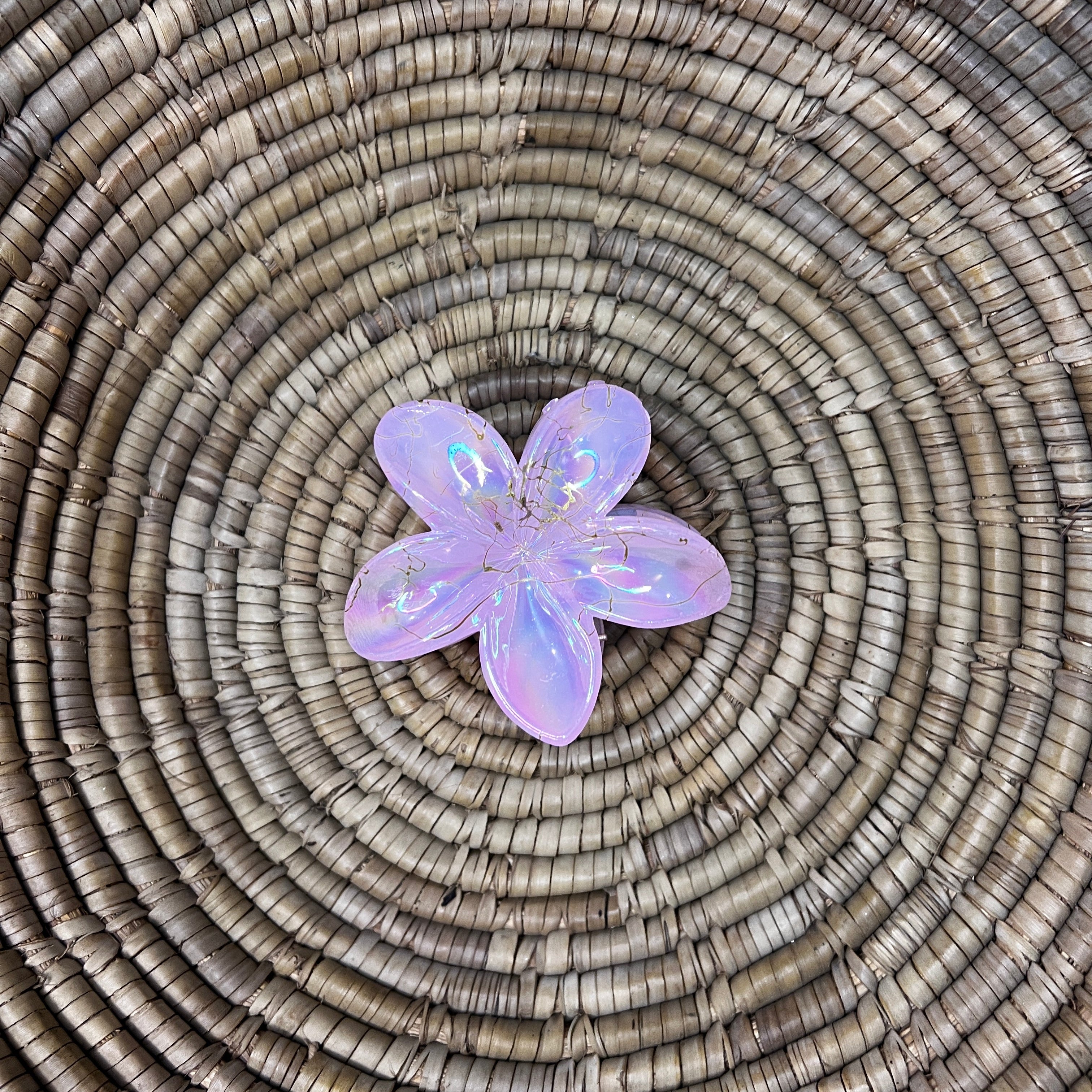 Glossy Hair Claw Clips