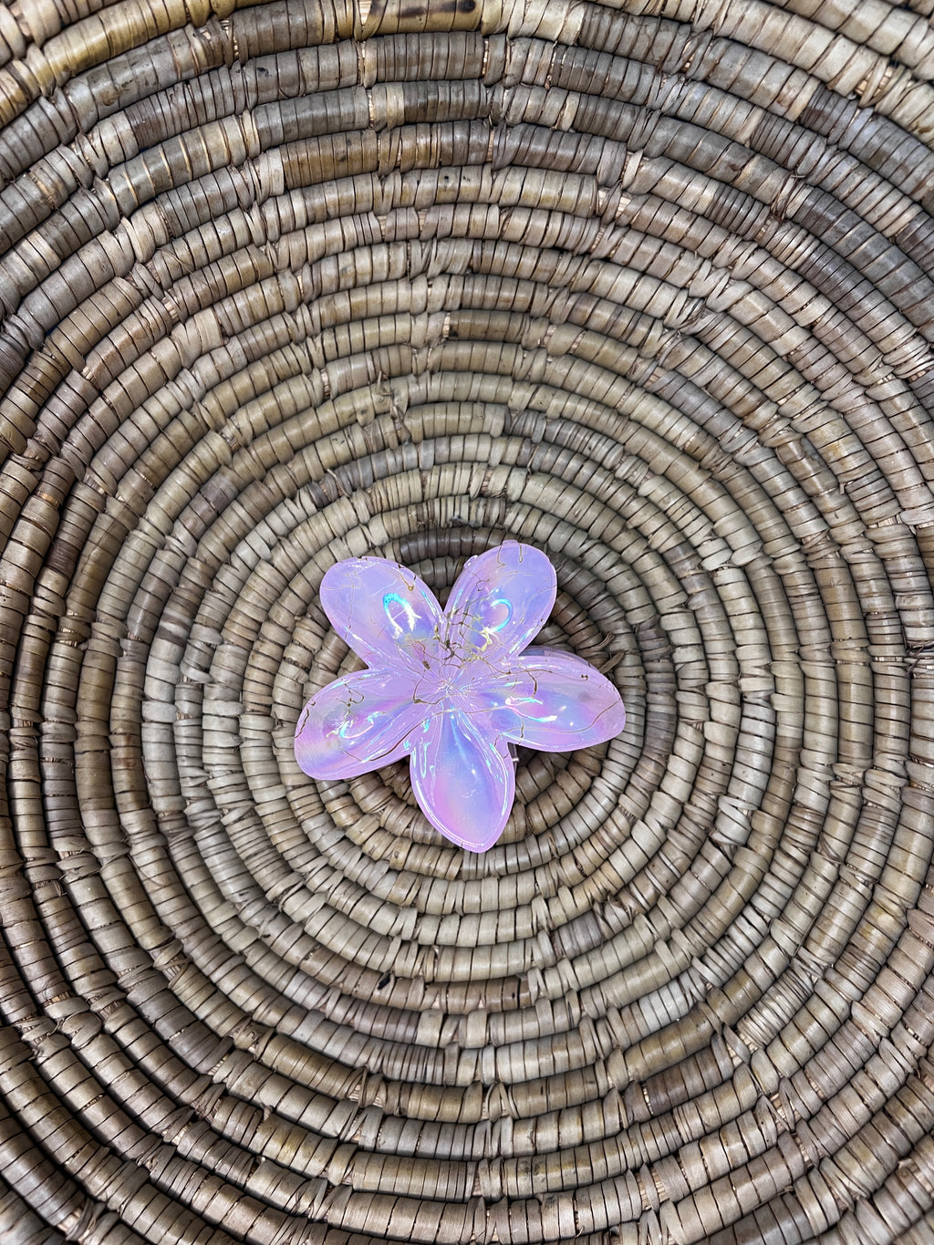 Glossy Hair Claw Clips