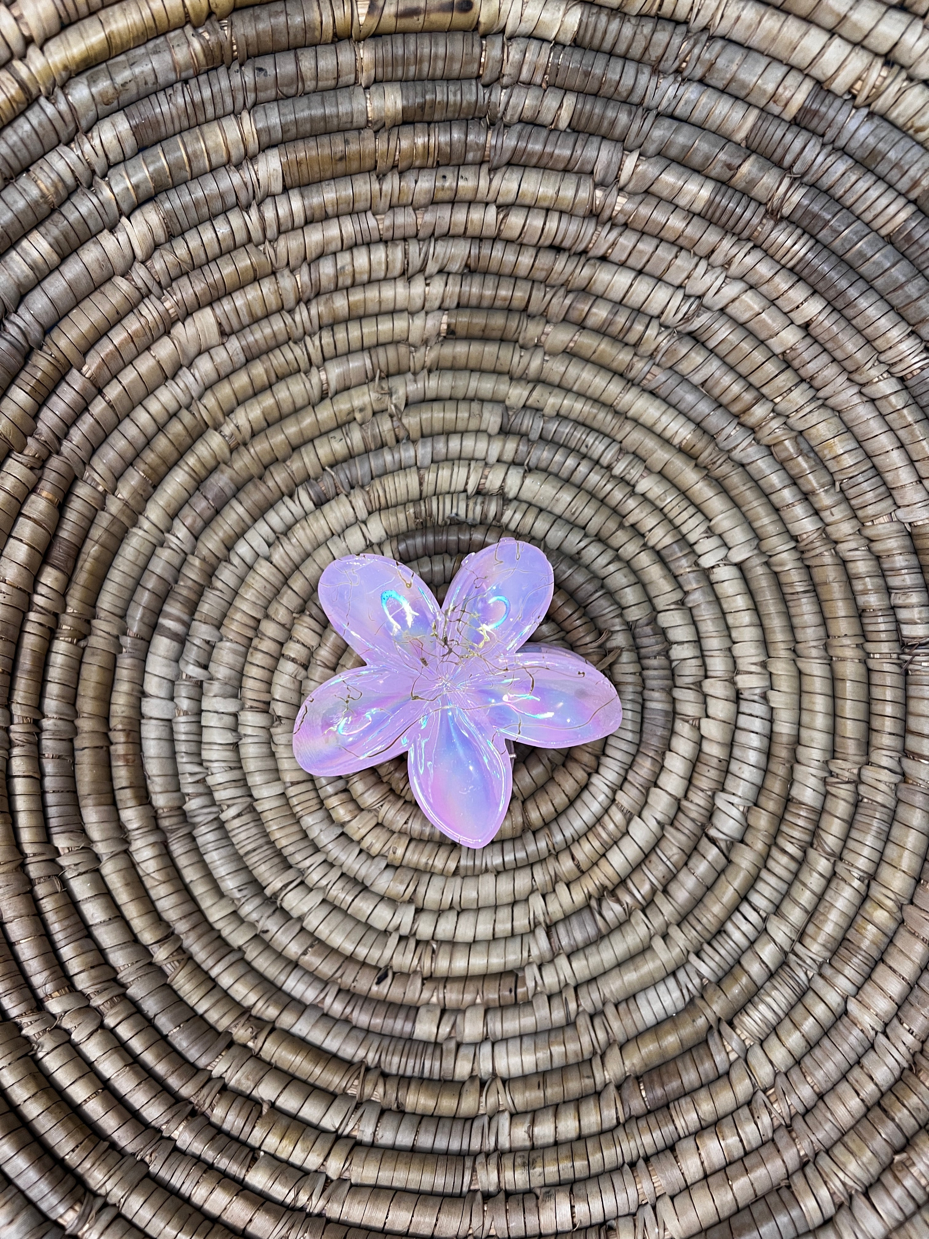 Glossy Hair Claw Clips