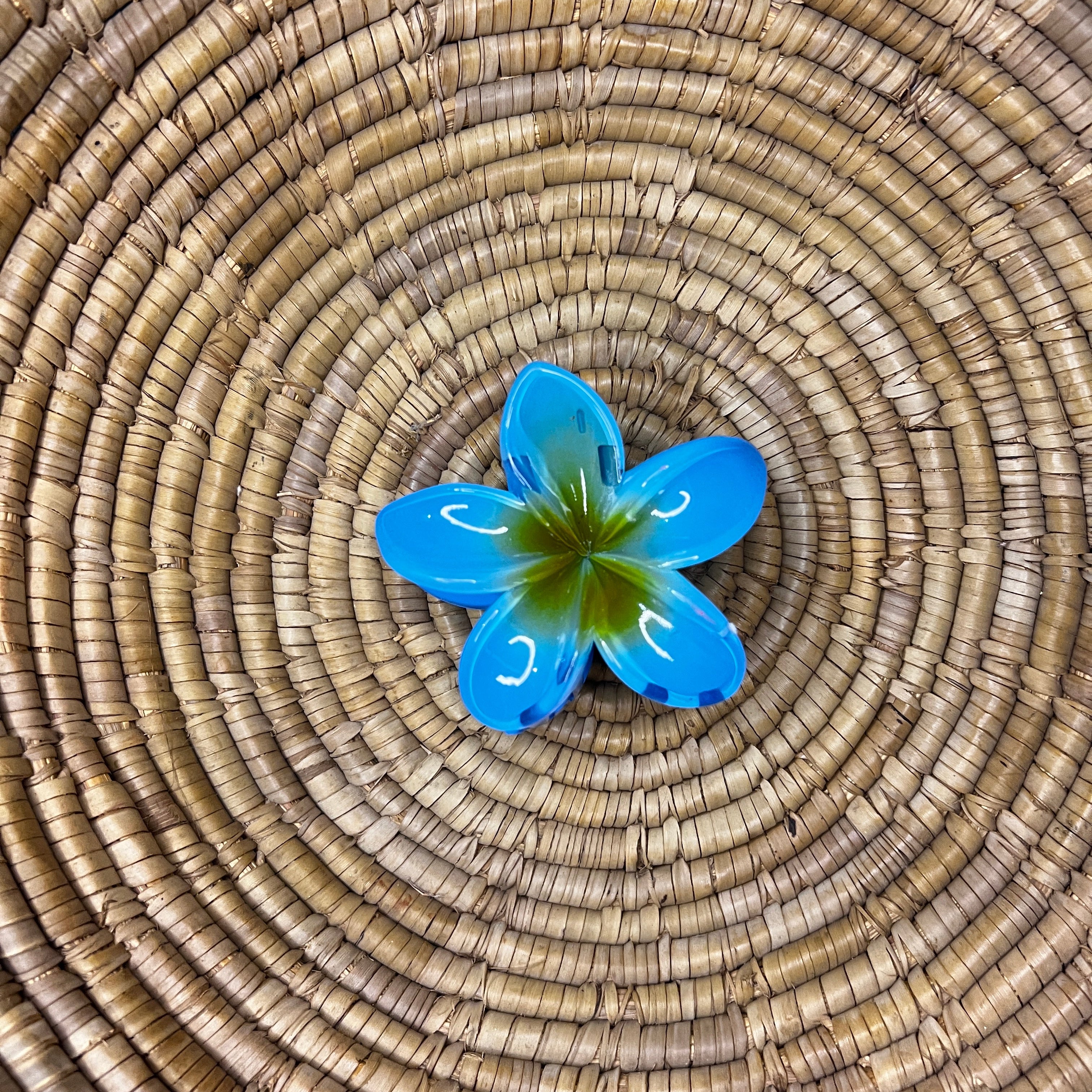 Pinteresty Hair Claw Clip