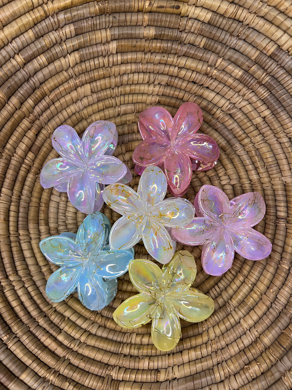 Glossy Hair Claw Clips