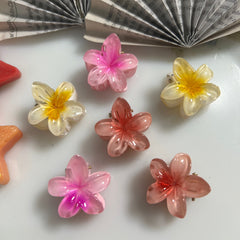 Pack of 6 Mini Pinterest Claw