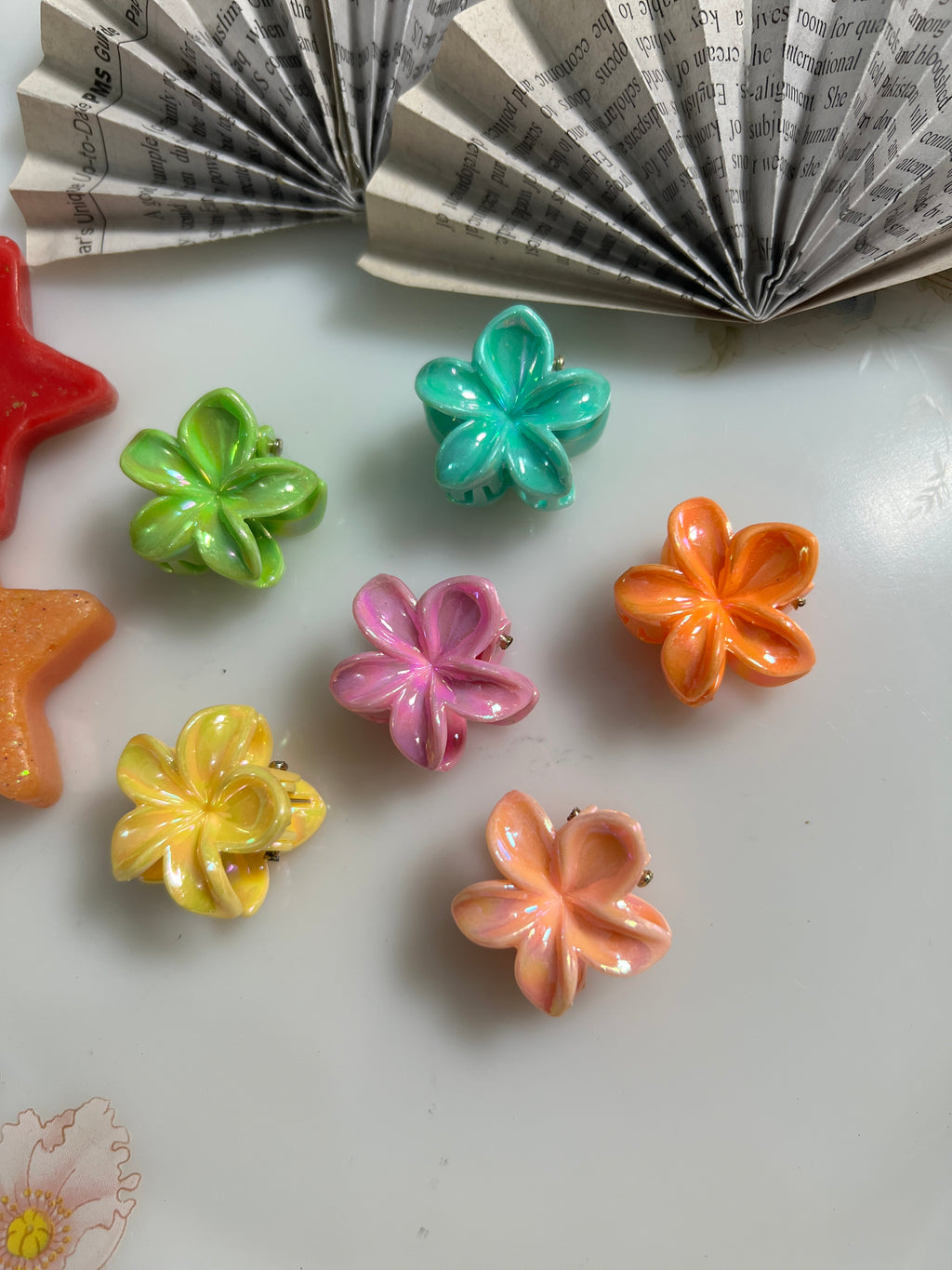 Pack of 6 Mini solid claw