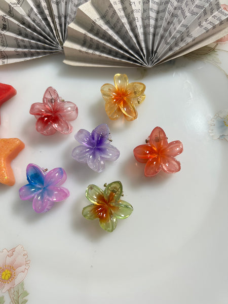 Pack of 6 Mini Glossy Hair Claw