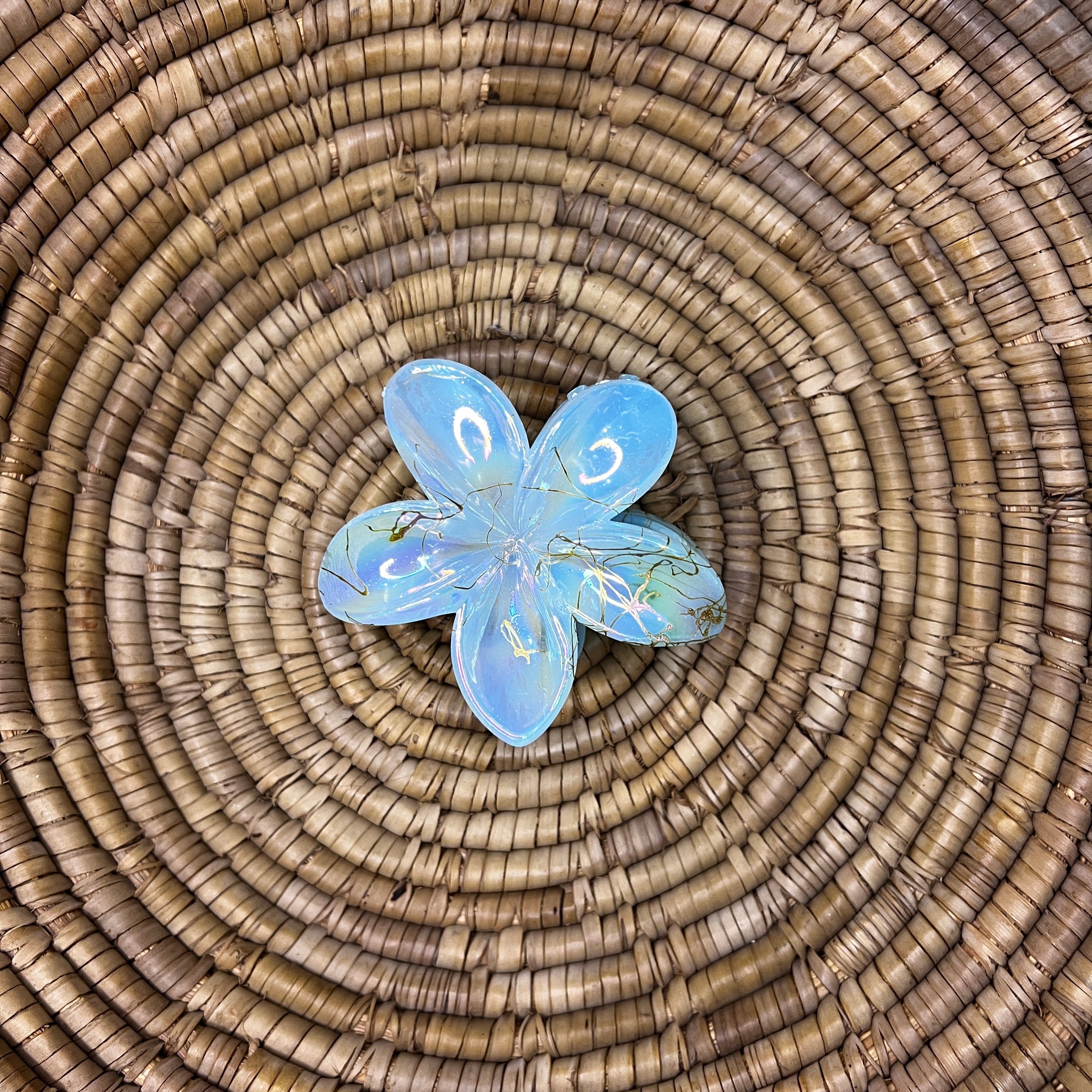 Glossy Hair Claw Clips