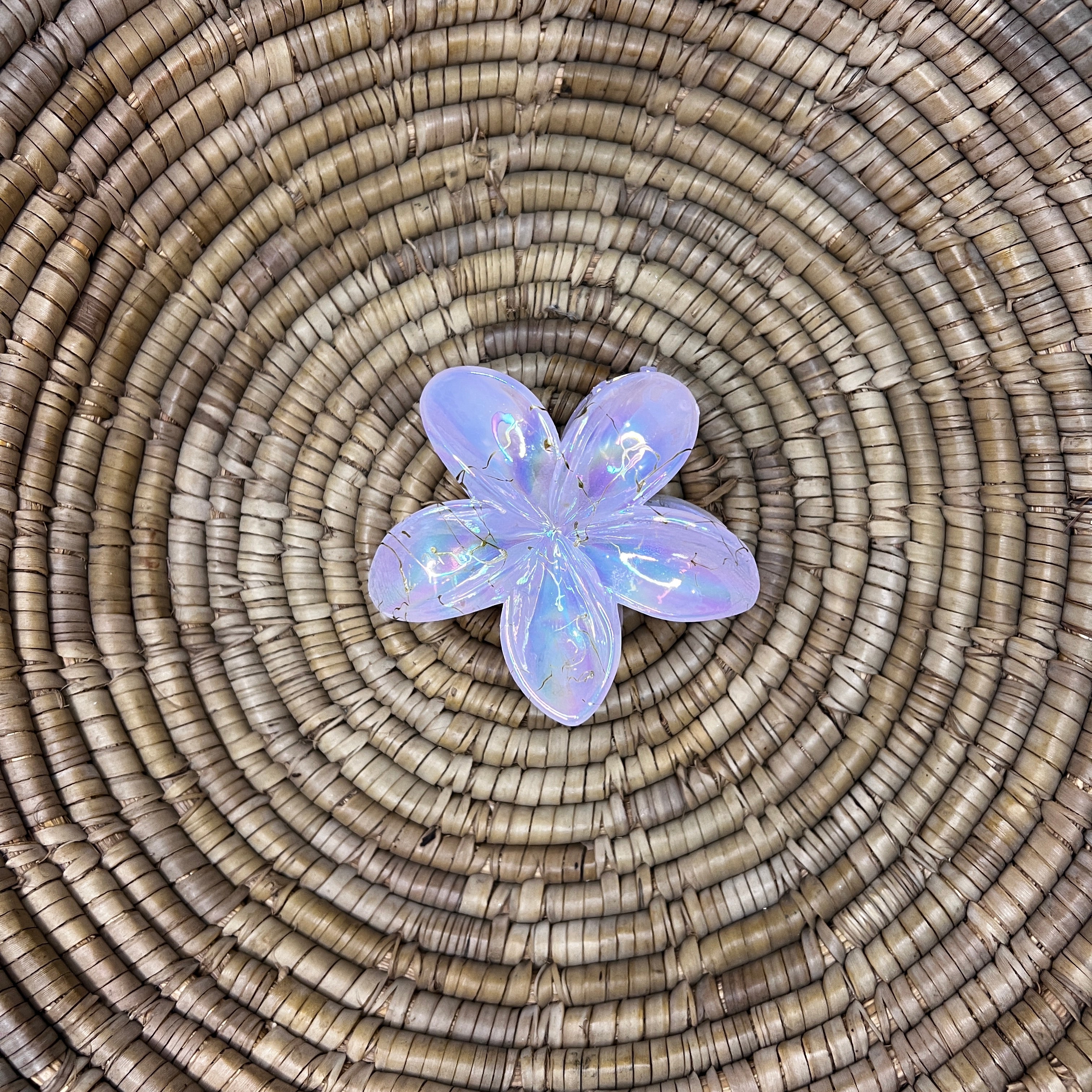 Glossy Hair Claw Clips