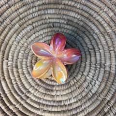 Opal Petal Hair Claw clip