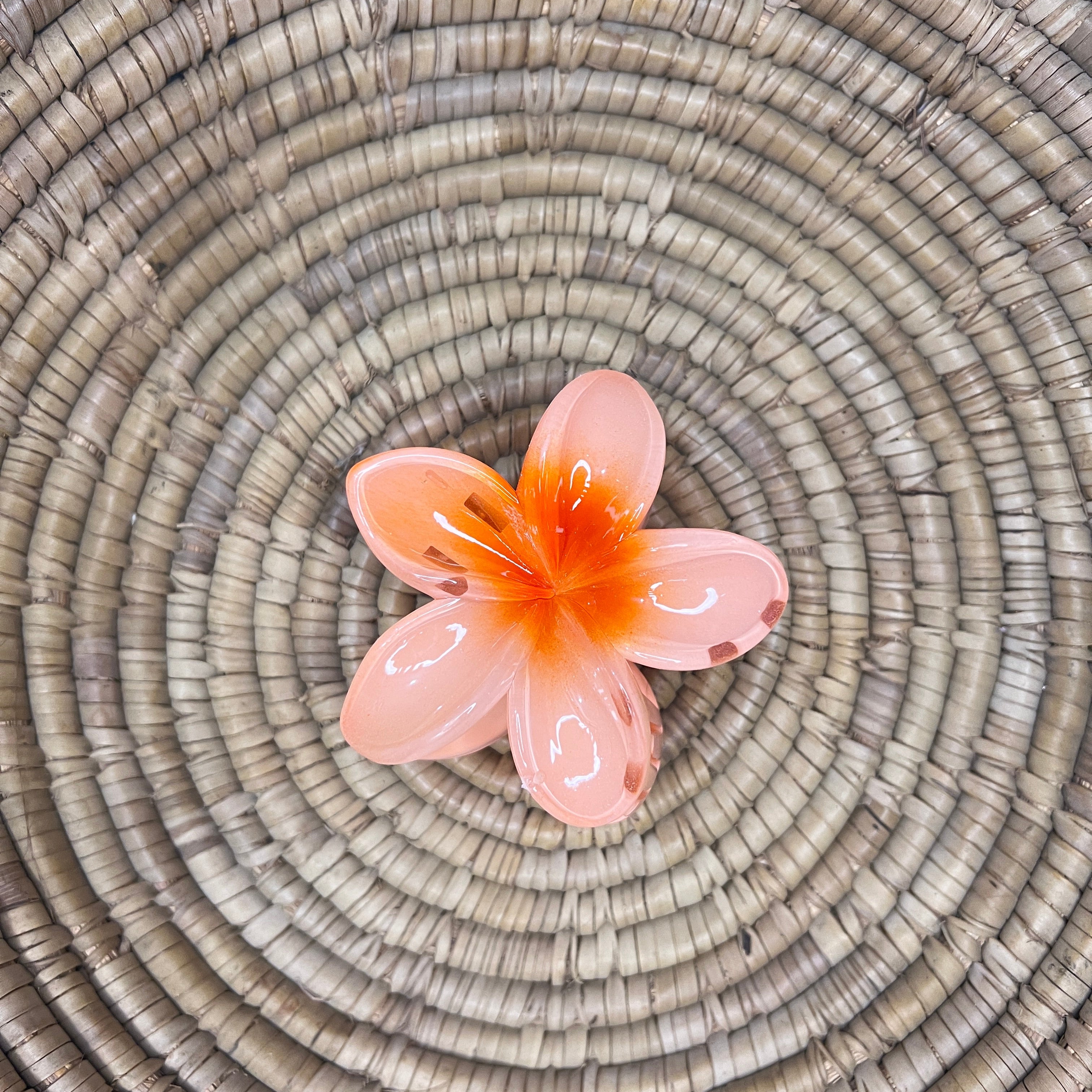 Pinteresty Hair Claw Clip