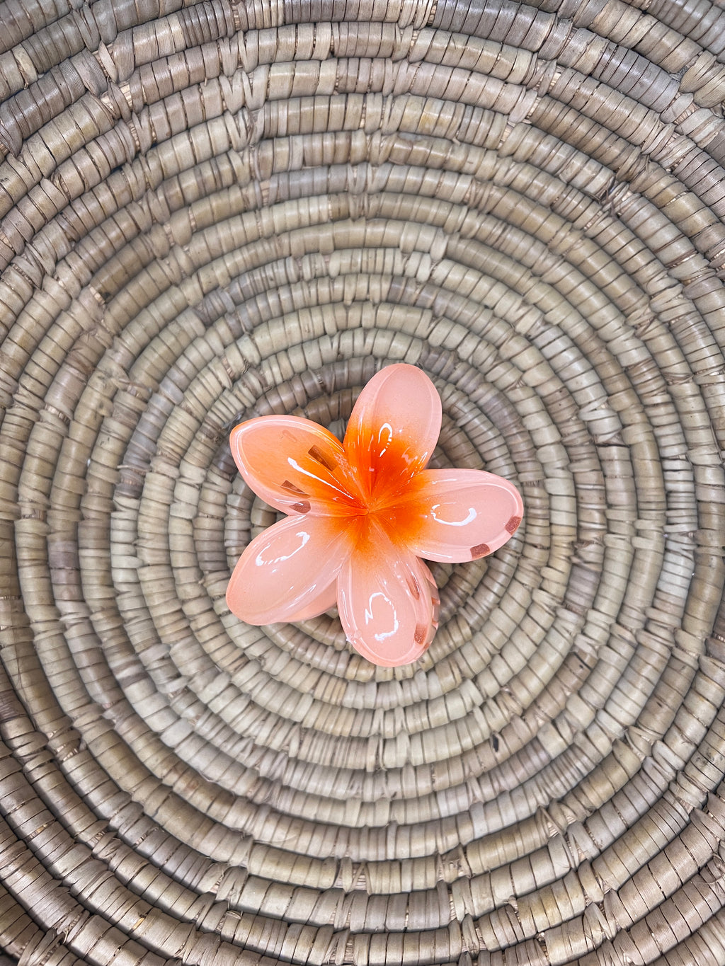 Pinteresty Hair Claw Clip