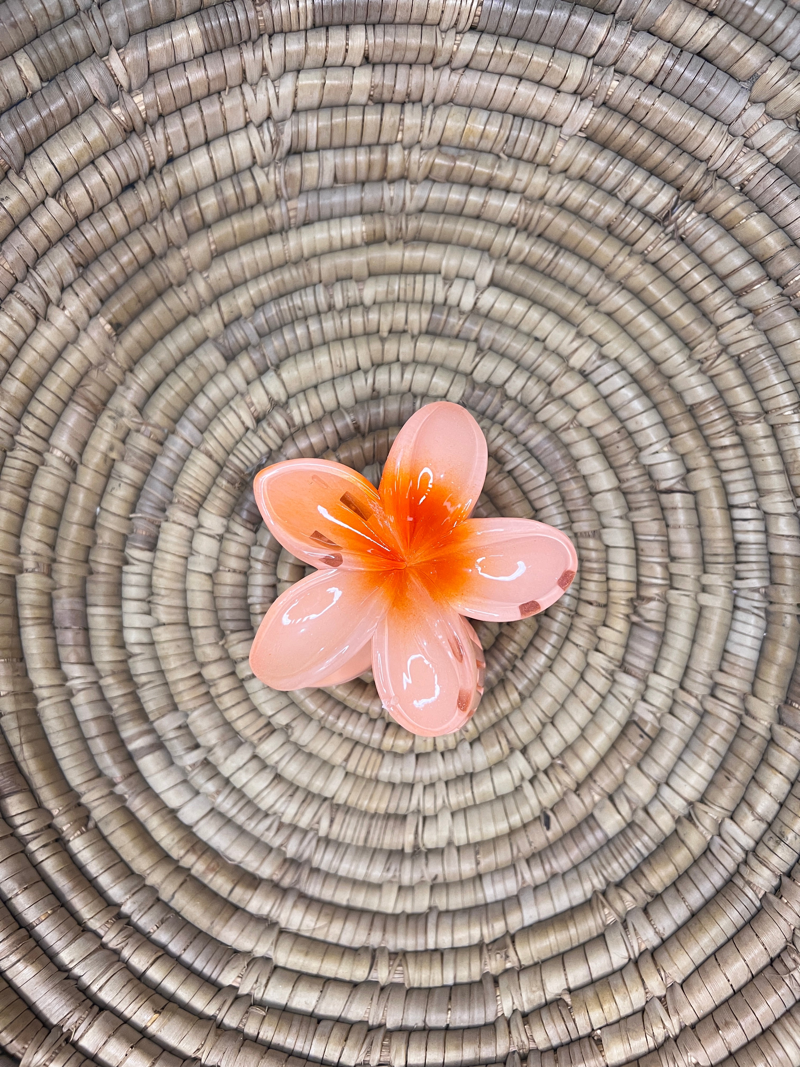 Pinteresty Hair Claw Clip