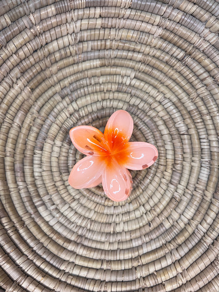 Pinteresty Hair Claw Clip