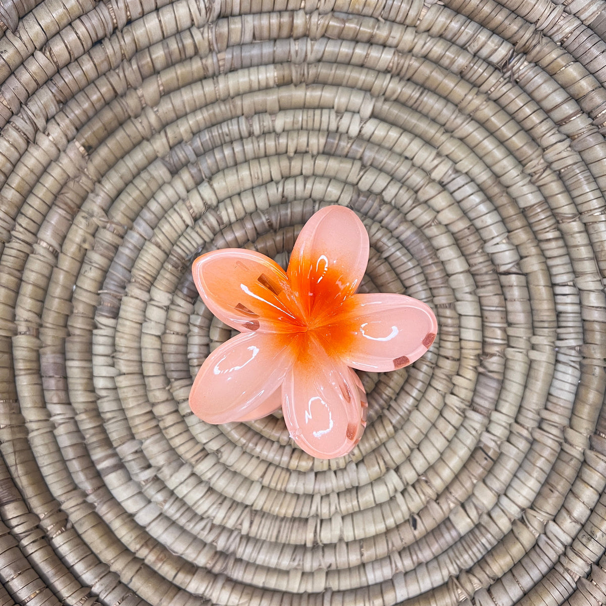 Pinteresty Hair Claw Clip