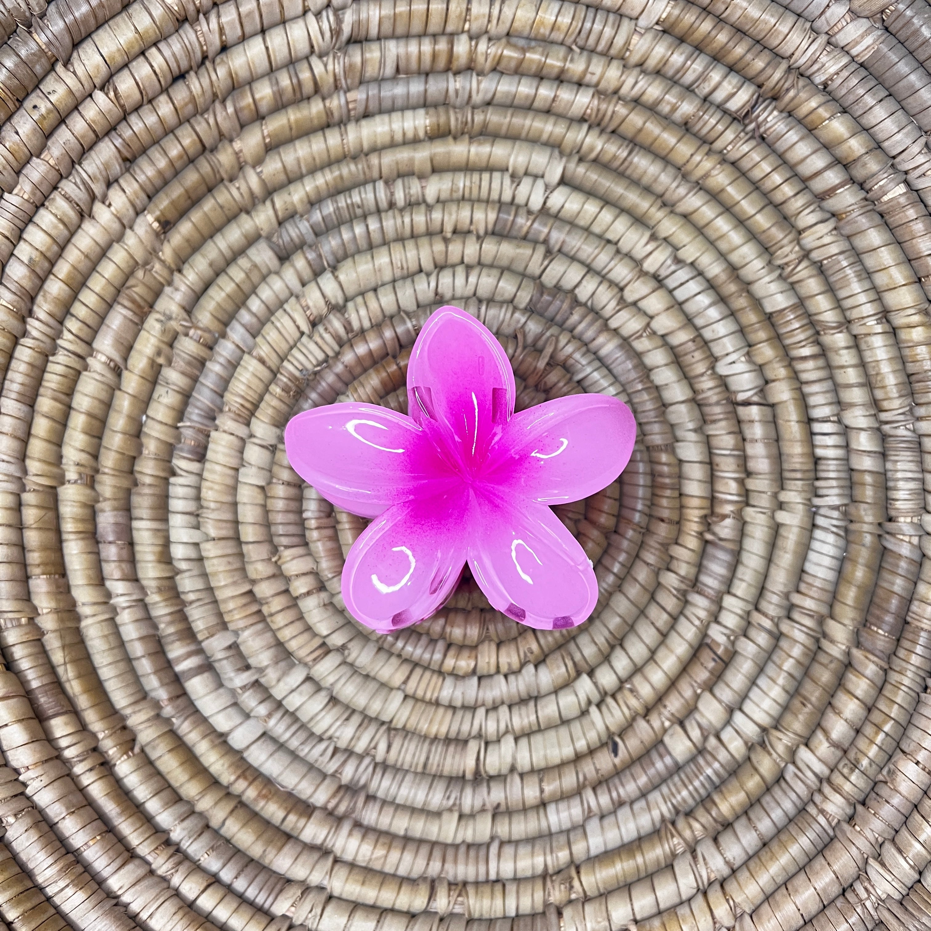 Pinteresty Hair Claw Clip