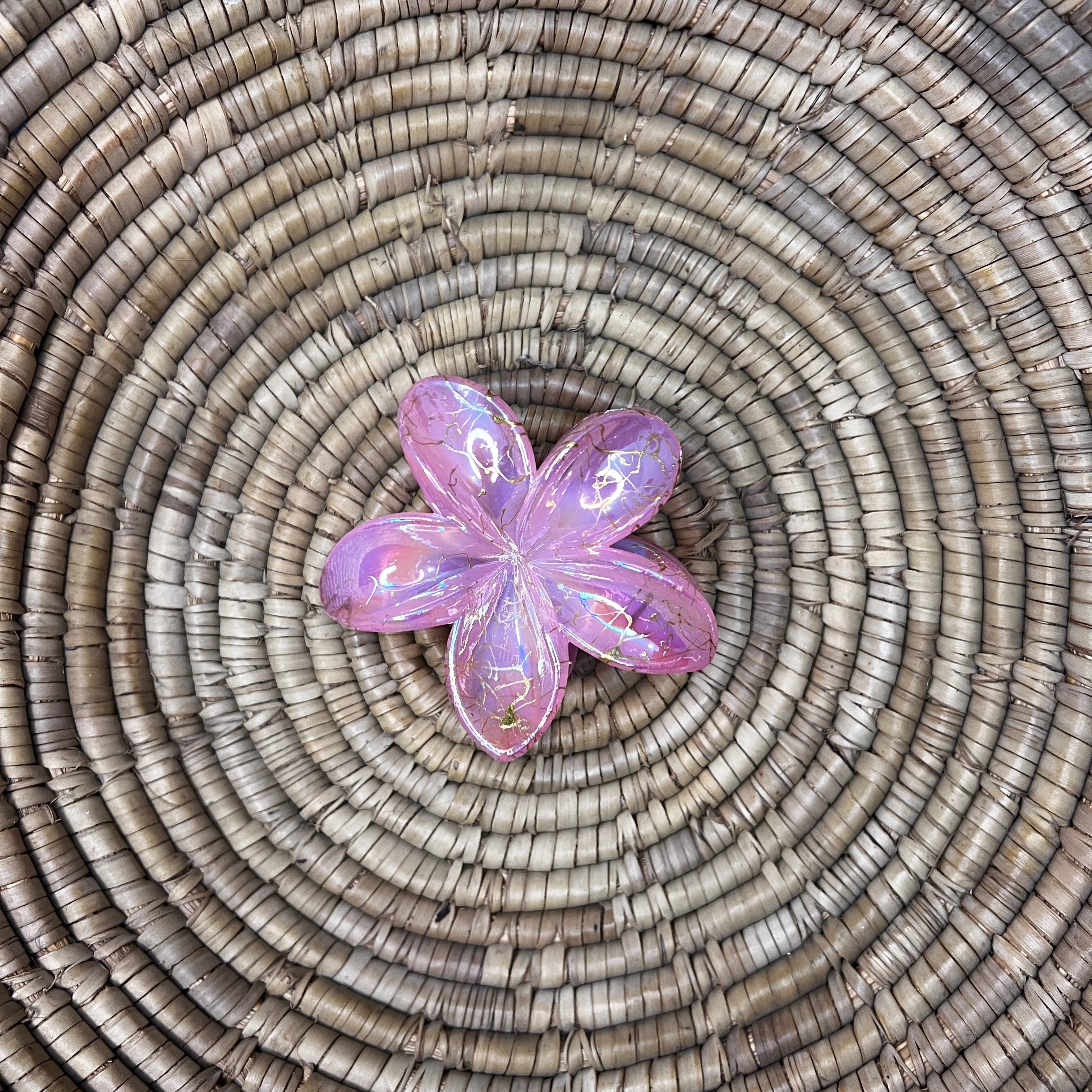 Glossy Hair Claw Clips