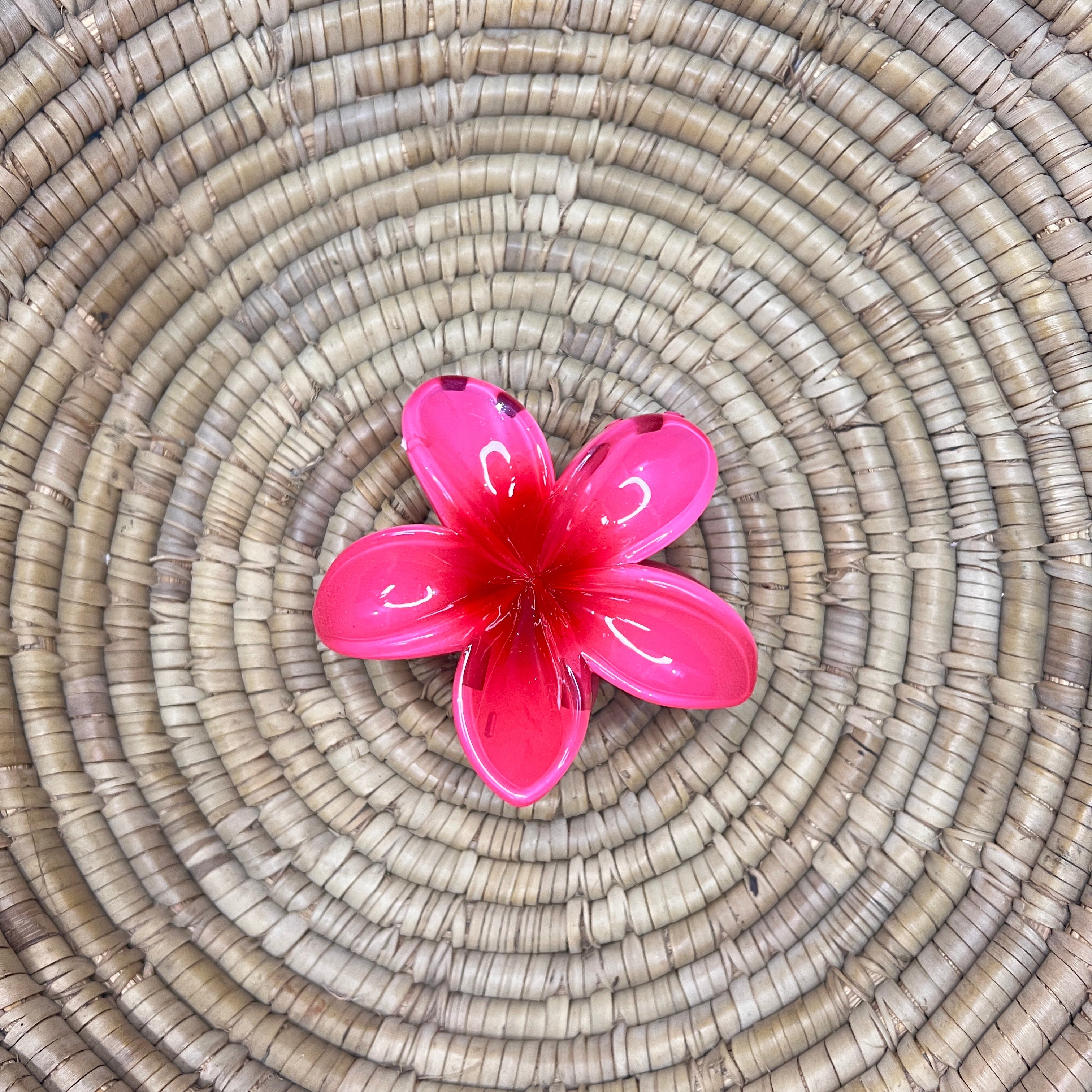 Pinteresty Hair Claw Clip