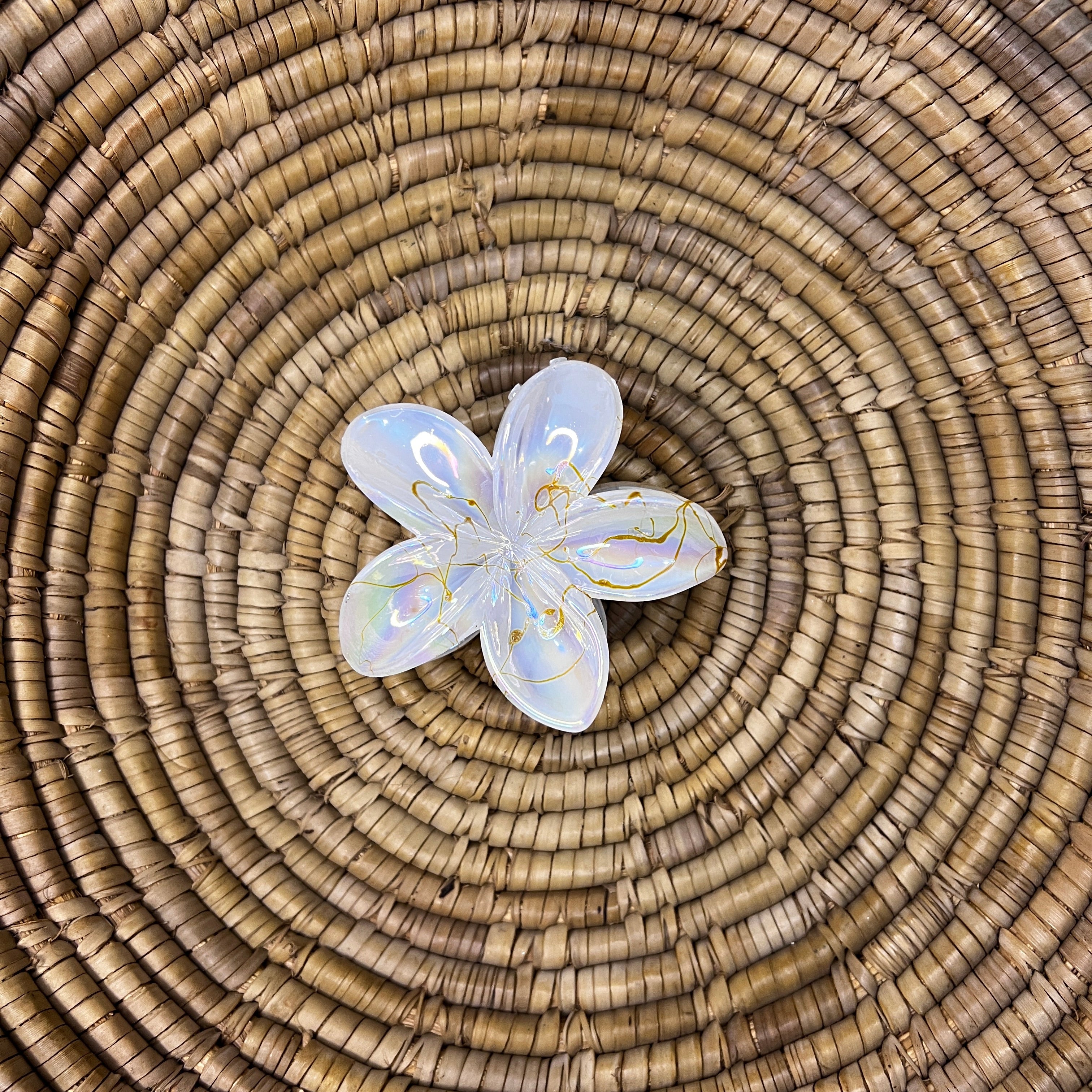 Glossy Hair Claw Clips