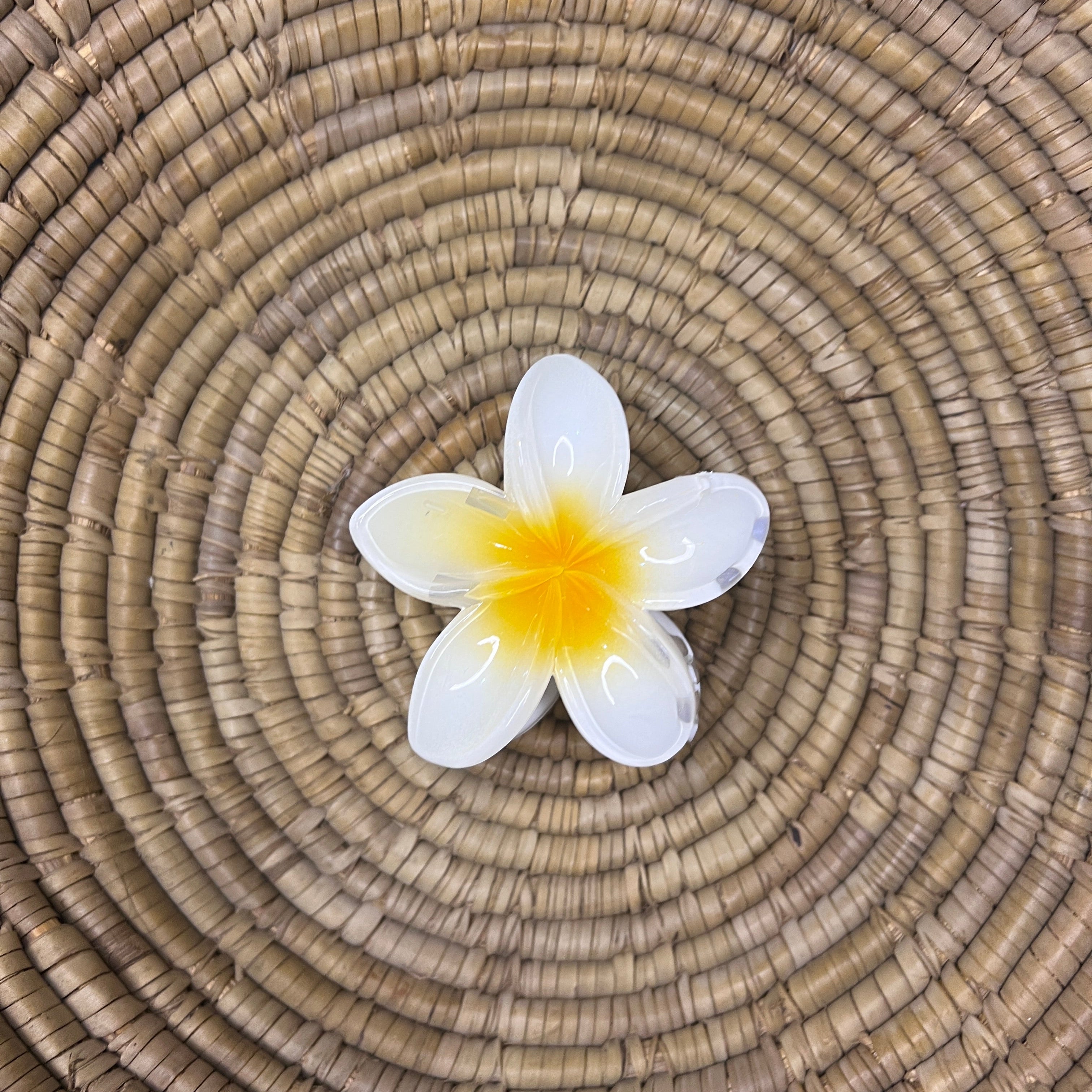 Pinteresty Hair Claw Clip