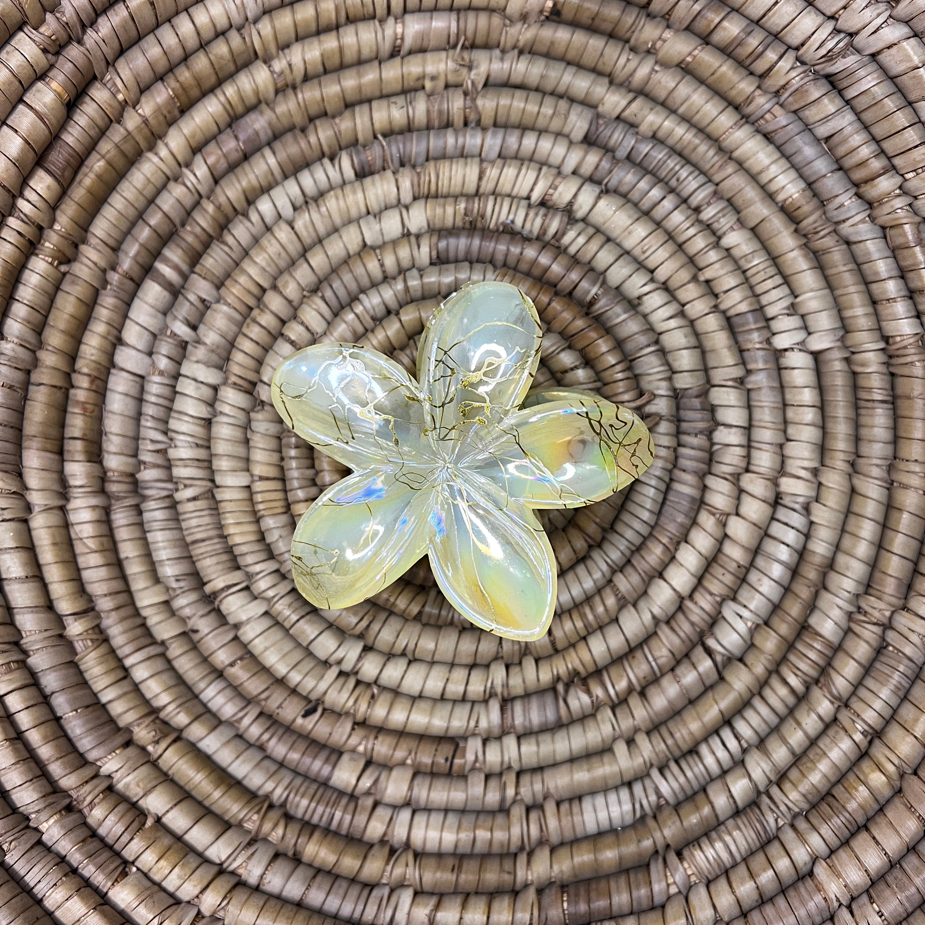 Glossy Hair Claw Clips