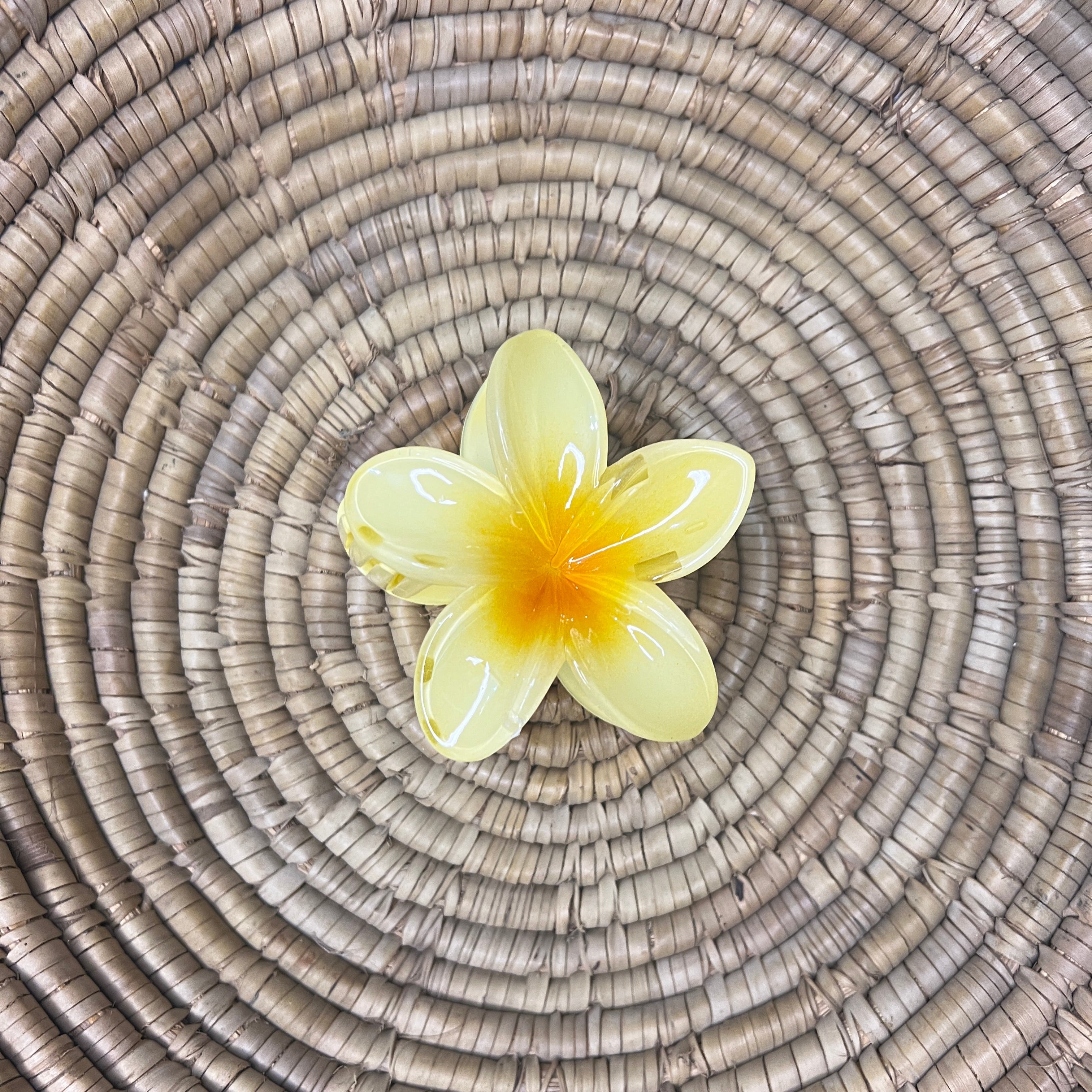 Pinteresty Hair Claw Clip